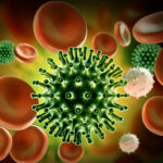 Coronavirus Puzzle