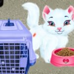 Baby Taylor Pet Care