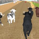 Bull Racing