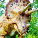 Giant Triceratops Puzzle