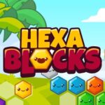 Hexa Blocks