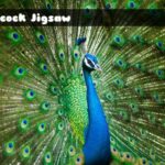 Peacock Jigsaw