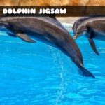 Sea Dolphin Jigsaw