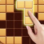 Wood Block Puzzle – Brain Game