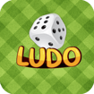 Ludo Game Multiplayer